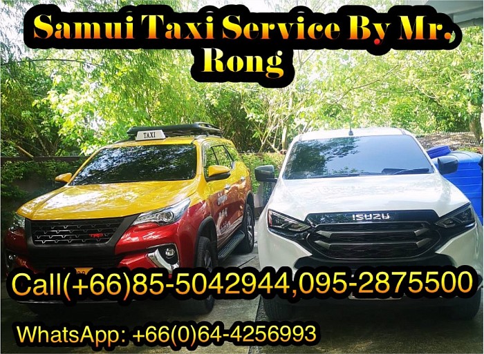 Call taxi & van by Mr.Rong